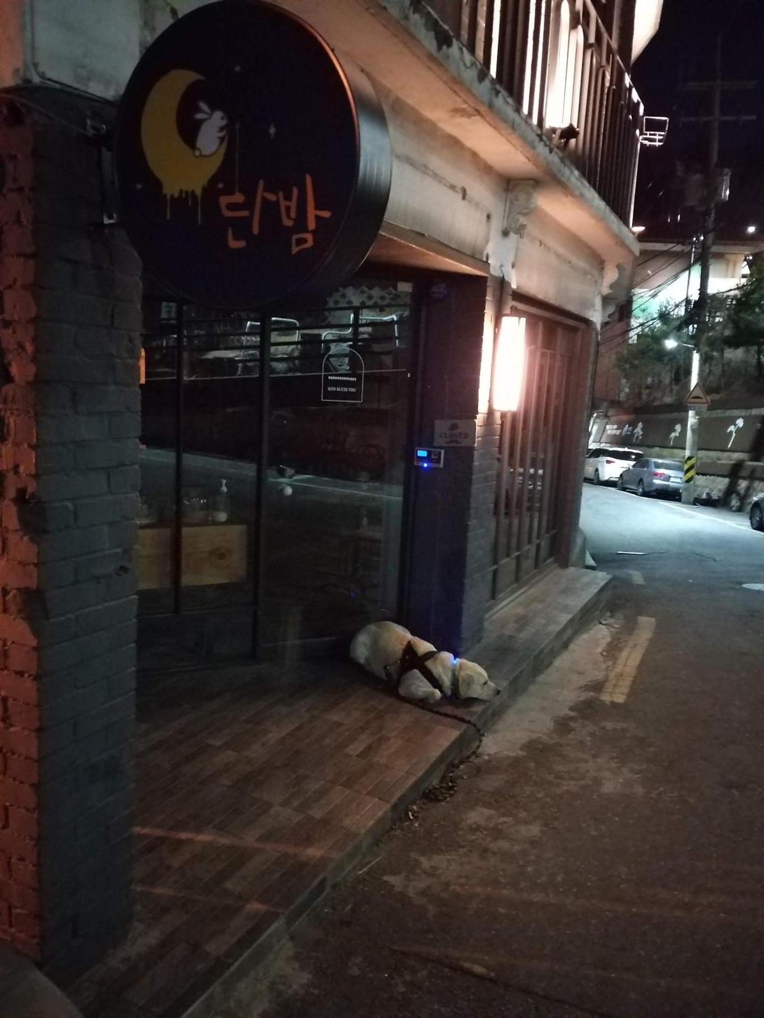 Newly Renovated 2 Bedroom Apartment #7 首爾 外观 照片