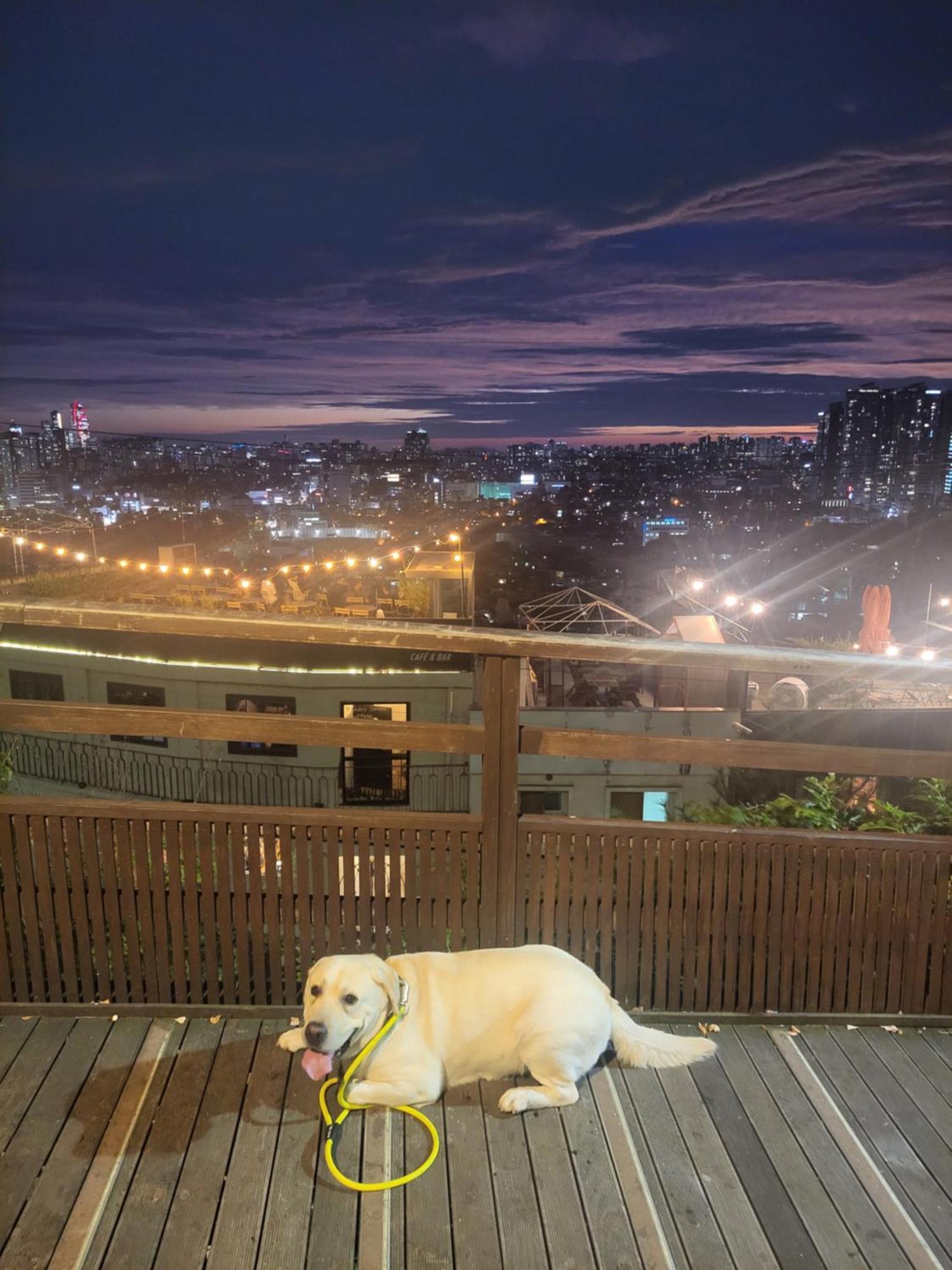 Newly Renovated 2 Bedroom Apartment #7 首爾 外观 照片