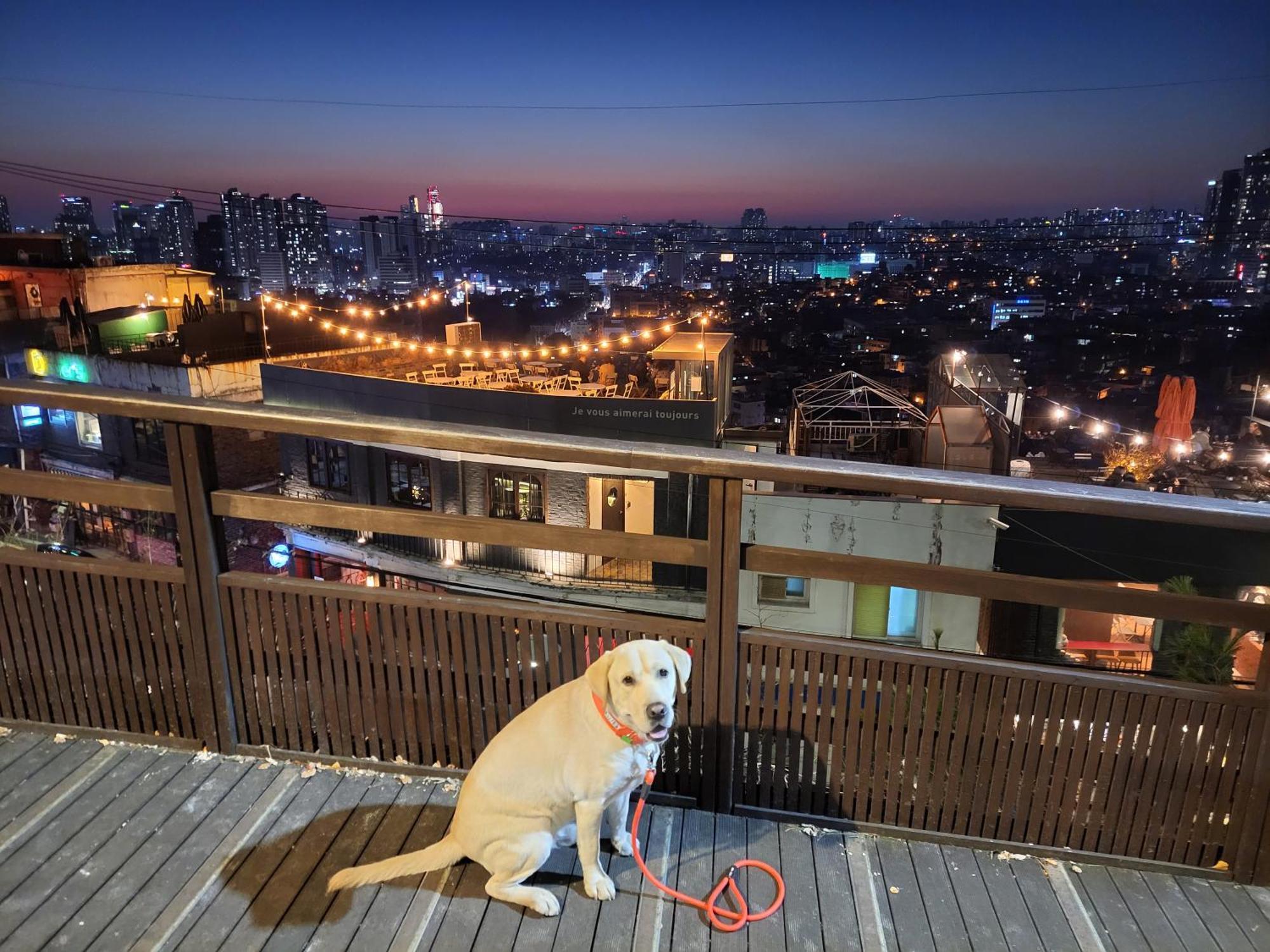 Newly Renovated 2 Bedroom Apartment #7 首爾 外观 照片